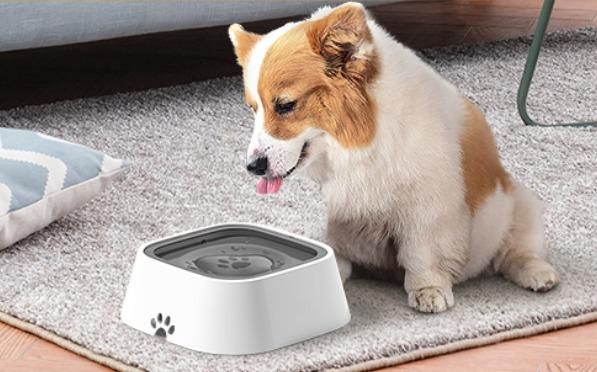 PET ACCESSORIES